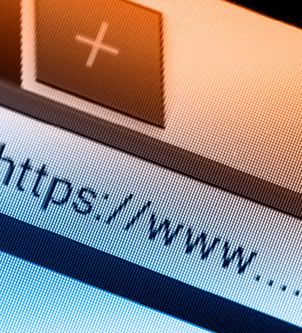 Website Hosting, Domains and Support